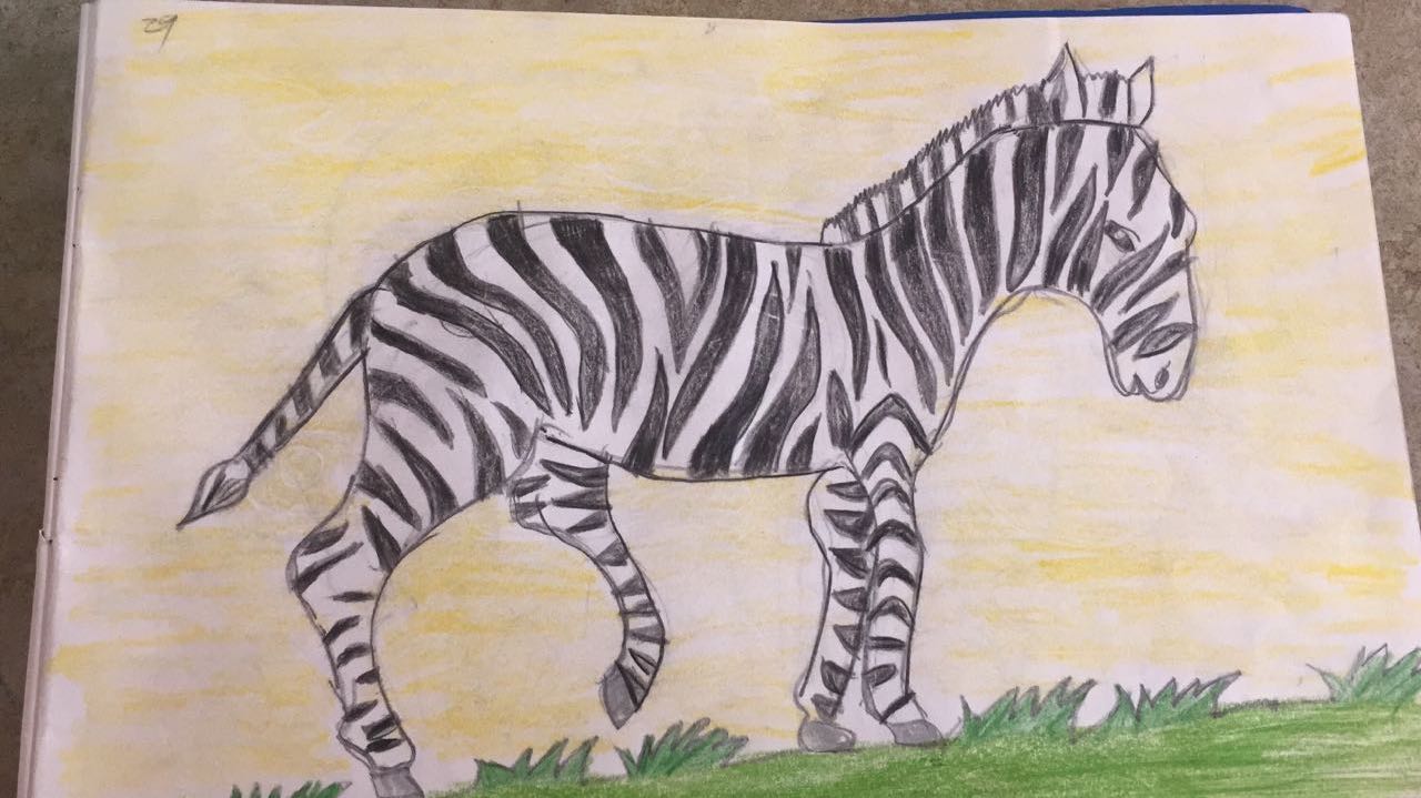 Zebra Samanyu.jpeg